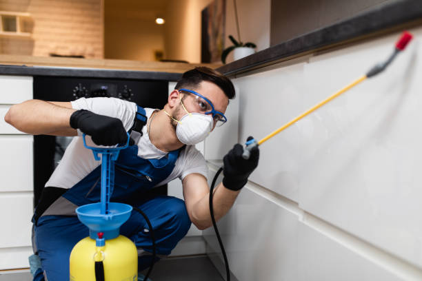Best Local Pest Control Services  in Mbria, CA