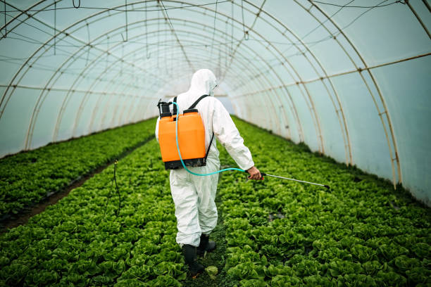 Best Best Pest Control Near Me  in Mbria, CA