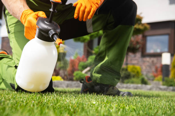 Best Pest Control Near Me  in Mbria, CA