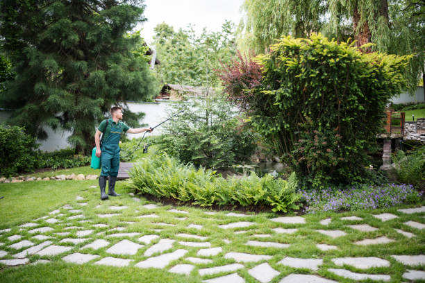 Best Pest Inspection Near Me  in Mbria, CA